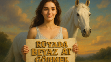 Rüyada Beyaz At Görmek.