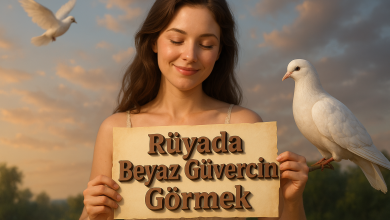 Rüyada Beyaz Güvercin Görmek