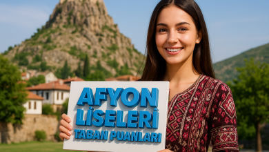 Afyonkarahisar Liseleri Taban Puanları ve Yüzdelik Dilim Analizleri