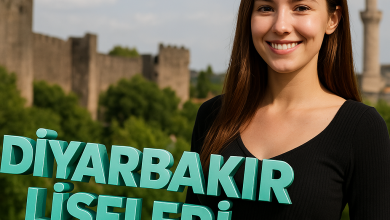 Diyarbakır Liseleri Taban Puanları ve Yüzdelik Dilim Analizleri