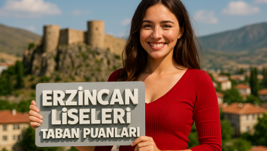 Erzincan Liseleri Taban Puanları ve Yüzdelik Dilim Analizleri