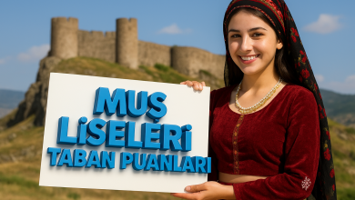 Muş Liseleri Taban Puanları ve Yüzdelik Dilimleri Rehberi