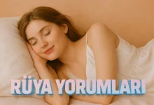 2025 Yılında Rüyada Renkli Köpek Görmek: Anlamı ve İşaretleri