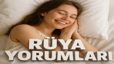 Rüyada Köpek Yavruları Görmek: Anlamı ve İşaret Ettikleri Neler?